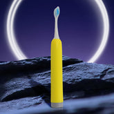 Adult Waterproof Electric Toothbrush (1 Pc / Battery Not Included / Mix Color)
