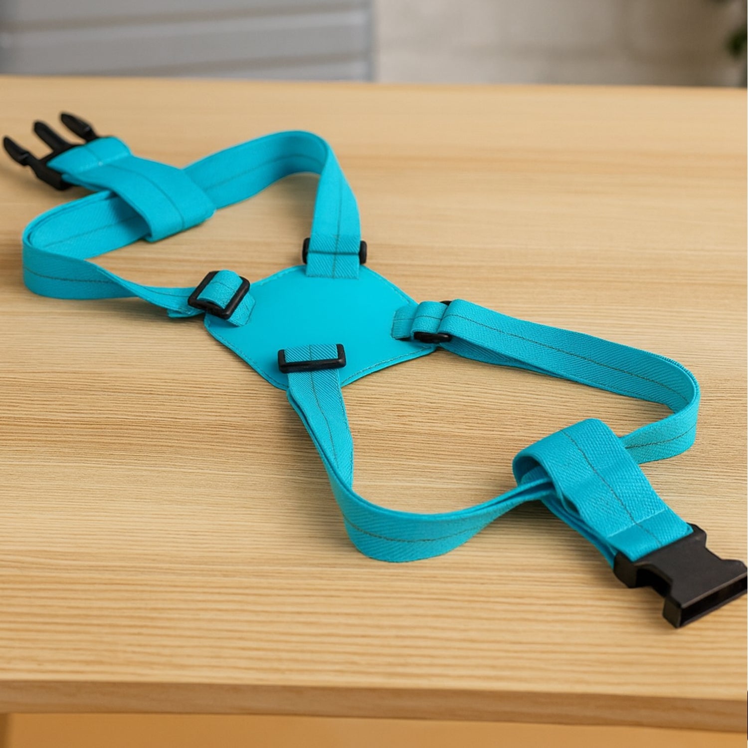Carry Belt