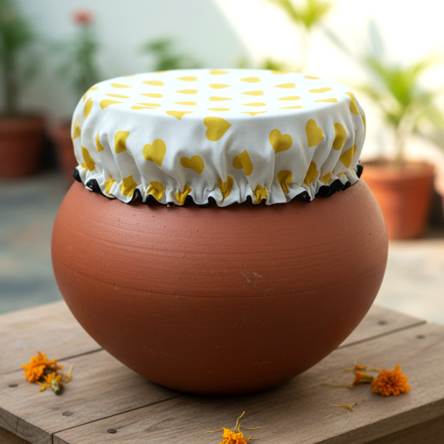 Food Storage Cover