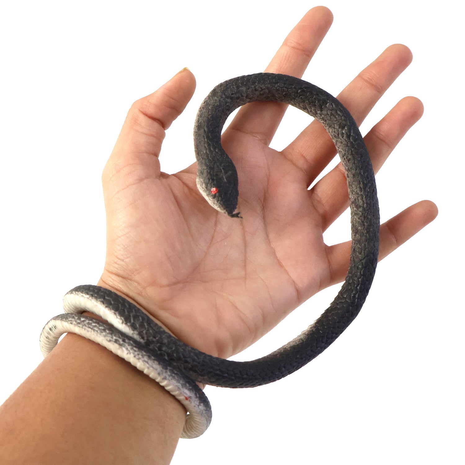 Snake Toy