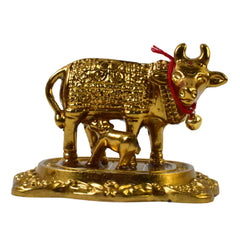 Dhan Laxmi Cow