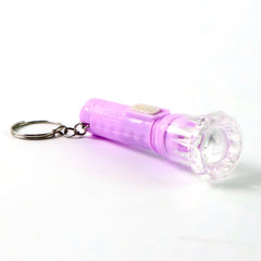 Plastic Body LED Mini Keychain Torch