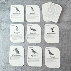 KidKraft Early Learner Educational Flashcards – 32 Birds