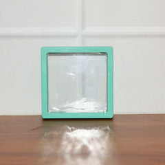 Transparent Jewellery Display Box (9x9 cm / 1 Pc / Green)