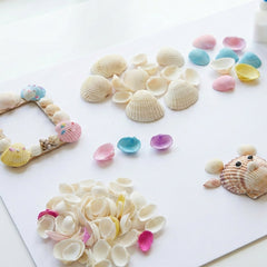 Decorative Seashells Set (1 Set)
