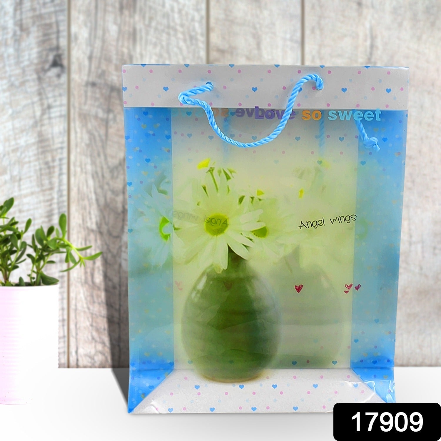 Transparent Bag