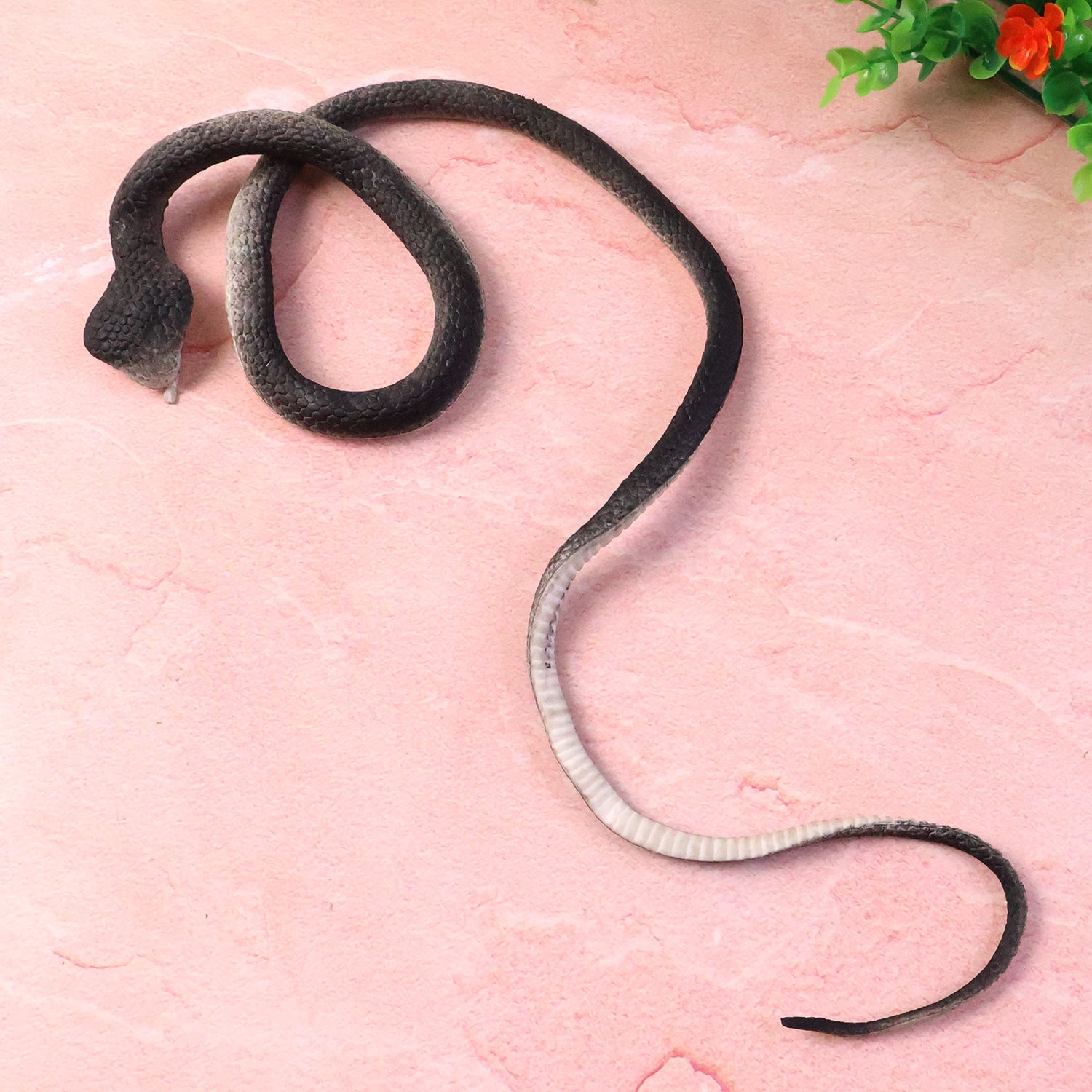 Prank Snake