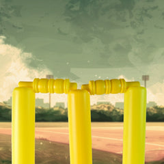AllRounder Playset