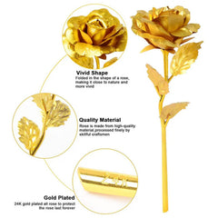 Timeless Treasure Set