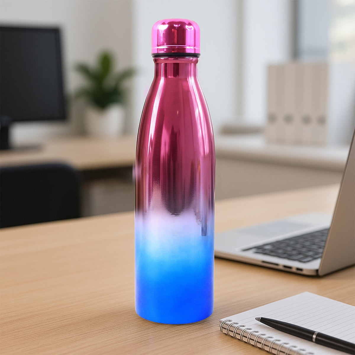 Premium Stainless Steel Drinking Bottle