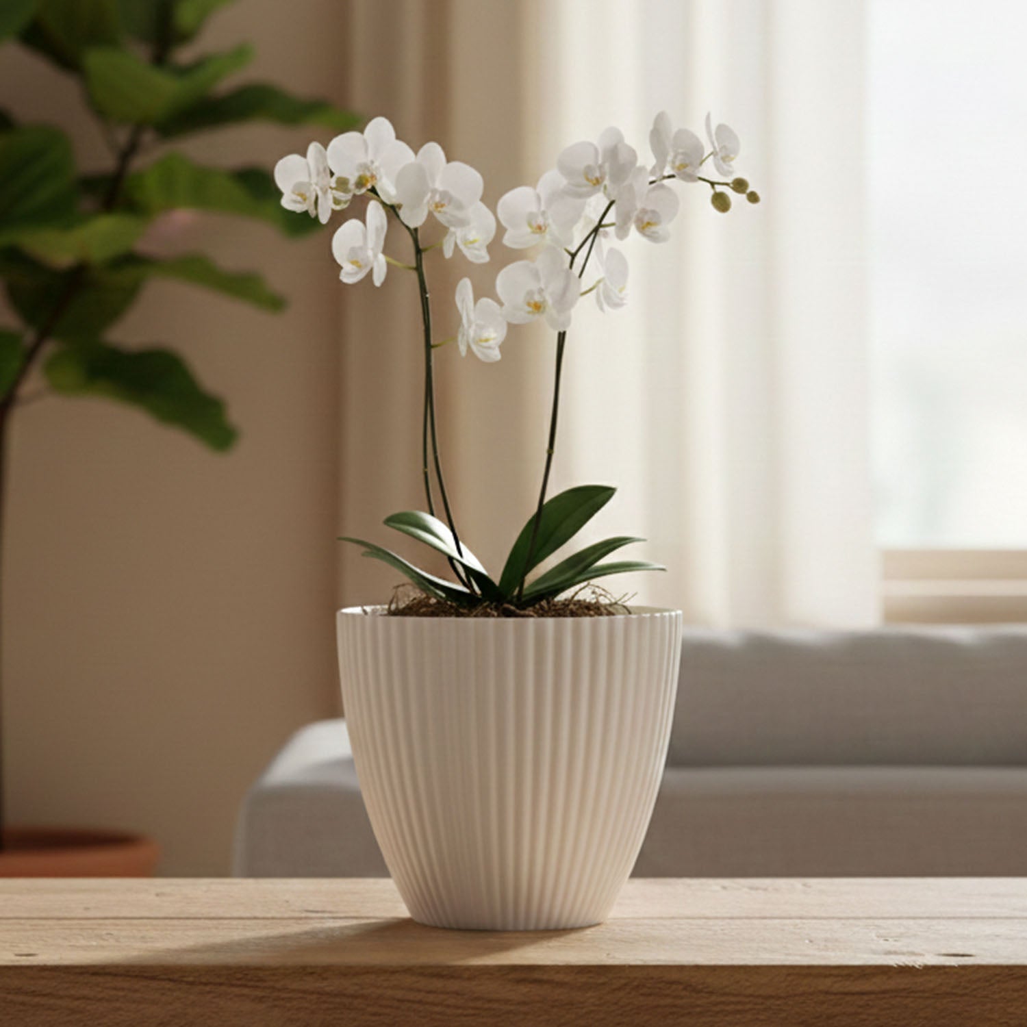 Planter Pot